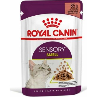 Royal Canin Sensory Smell Gravy/Salsa 85g - Premium Pet Food for Enhanced Palatability
